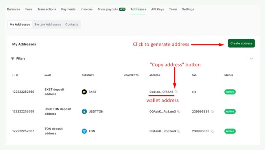 Wallet address in crypto