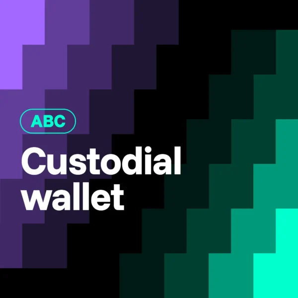 What Is a Custodial Wallet in Crypto?