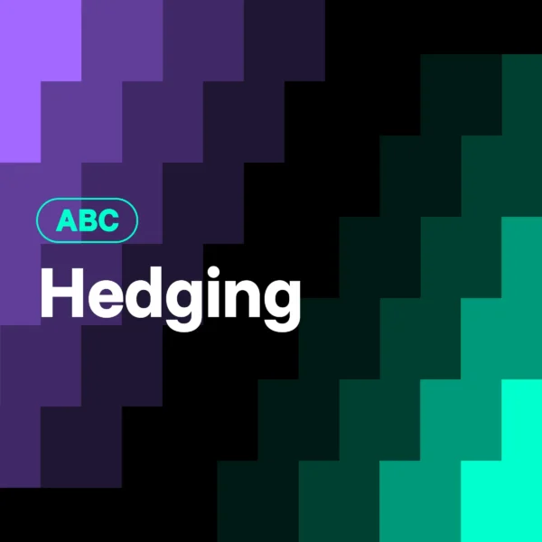 What does hedging in crypto mean?
