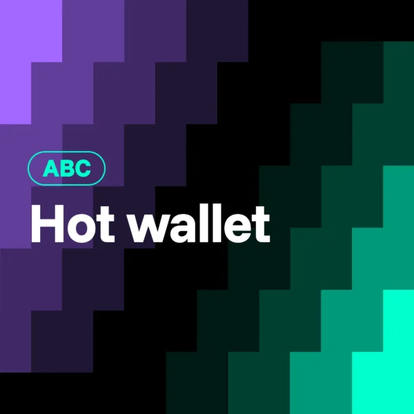 What is a hot wallet?