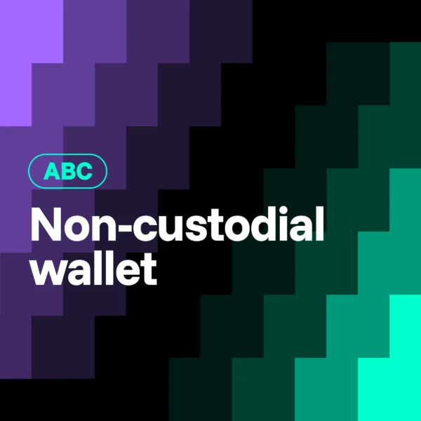 What Is a Non-Custodial Wallet?