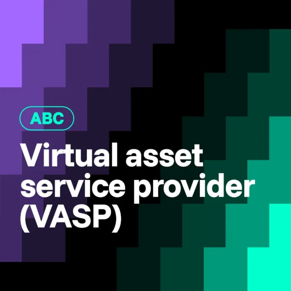 What Is a Virtual Asset Service Provider (VASP)?