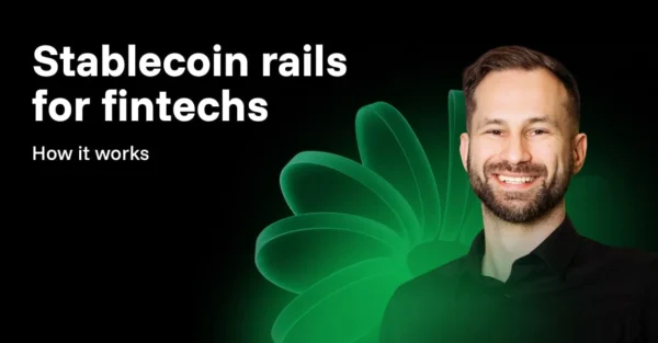 Stablecoin rails for fintechs: how it works